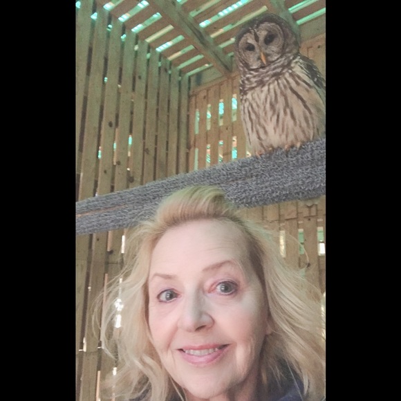 Meet your Posher, Nancy - Picture 4 of 10